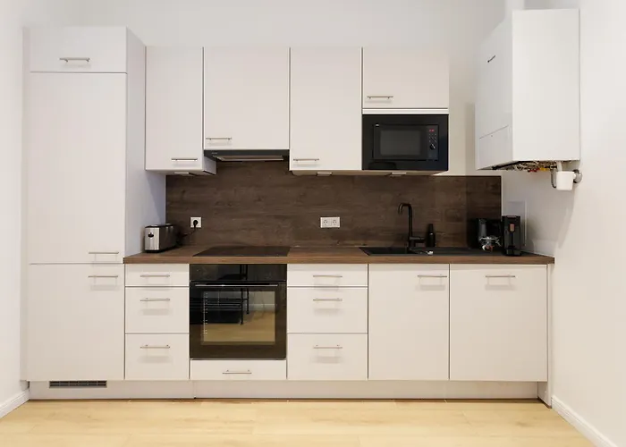 Design 1150 Διαμέρισμα Βιέννη
